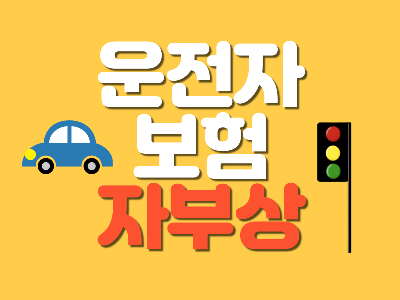 운전자보험 벌금 형사합의금 변호사비 자동차부상치료비