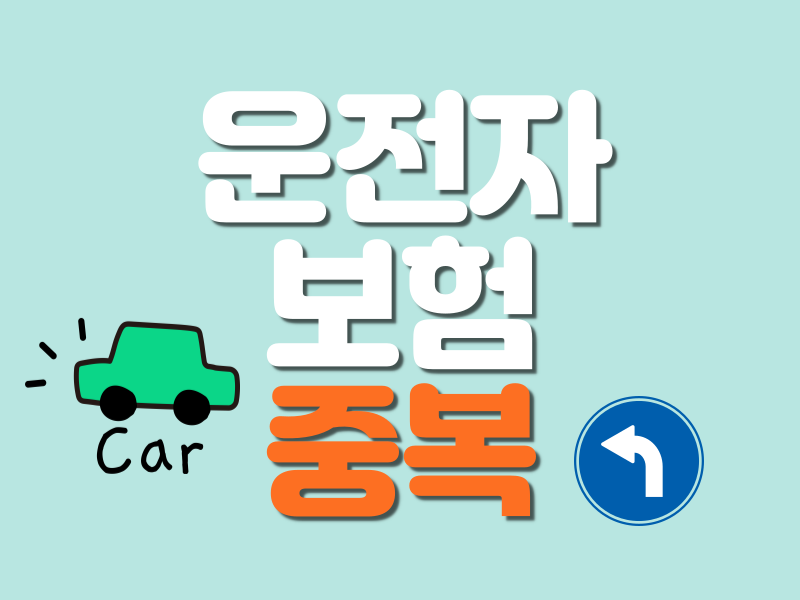 갱신형 vs 비갱신형 운전자보험