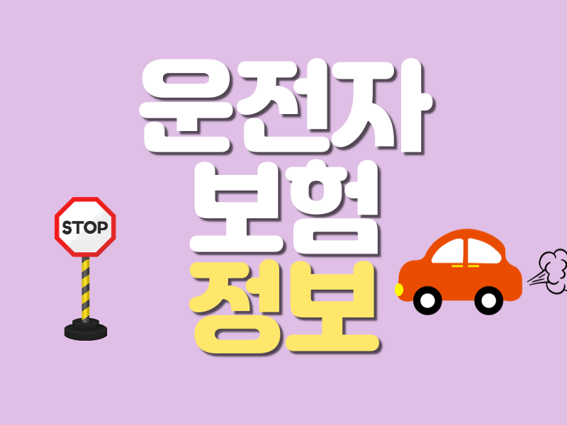 부부·가족 운전자보험 가이드